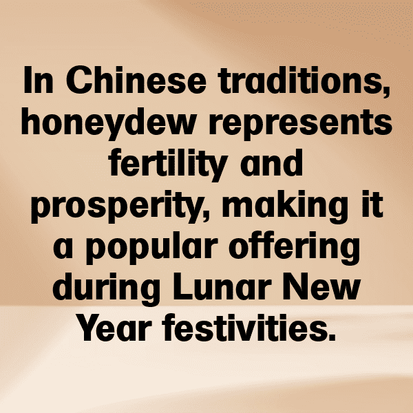 Horned Melon Captions Image For Instagram-PRAR6I