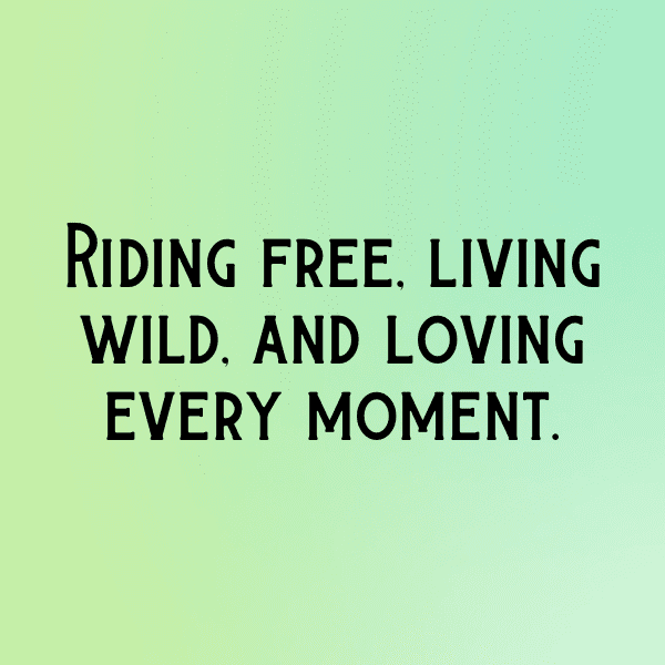 Horse Captions Image For Instagram-1znLVi