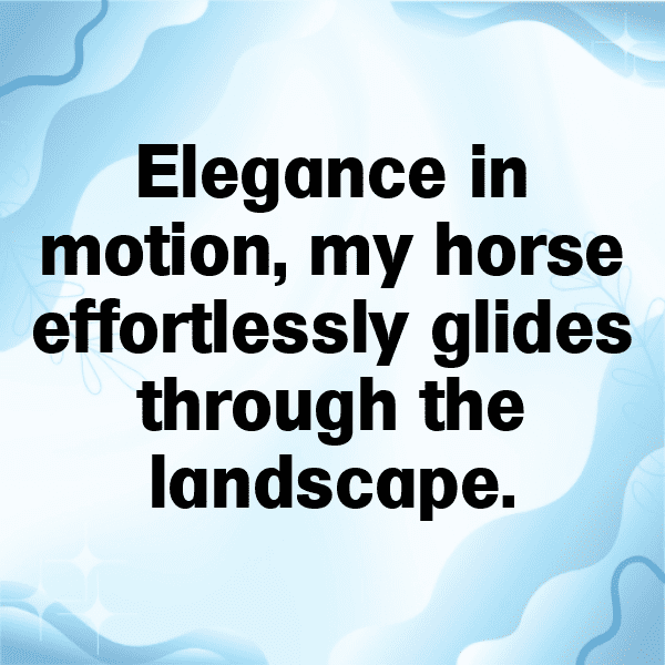 Horse Captions Image For Instagram-EzlIP1