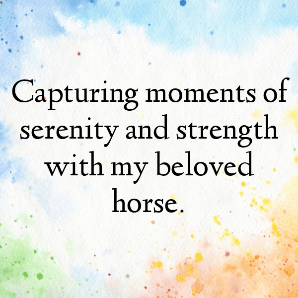 Horse Captions Image For Instagram-F3neiS