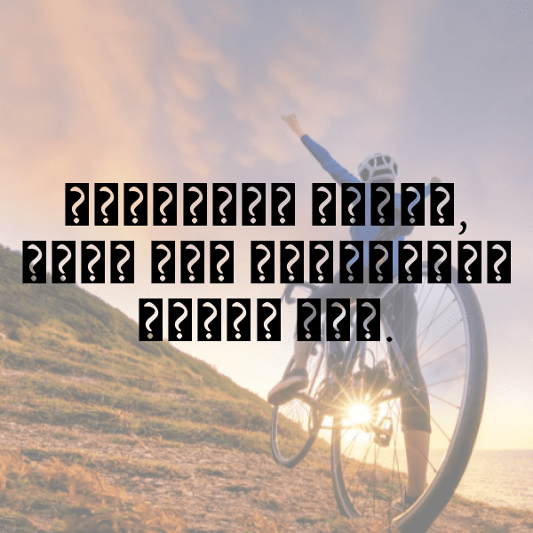 Horse Captions Image For Instagram-GpzhzD