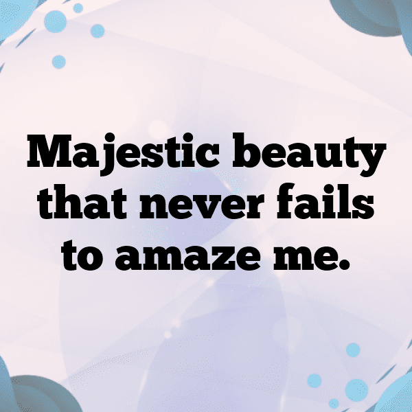 Horse Captions Image For Instagram-HqgpP3