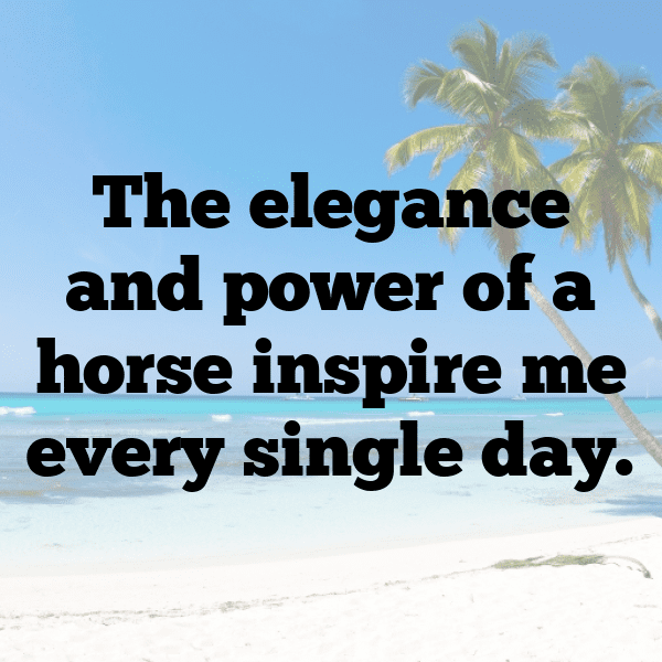 Horse Captions Image For Instagram-L39frU