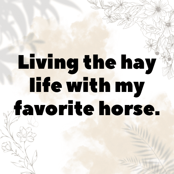 Horse Captions Image For Instagram-upYBBt