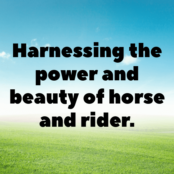 Horse Captions Photo For Instagram-skbgAI