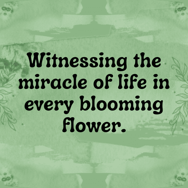 Hot Spring Captions Photo for Instagram-xIUco6