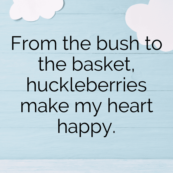 Huckleberry Captions Image For Instagram-pUZnVg