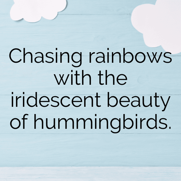 Hummingbird Captions Image For Instagram-5xLsWq