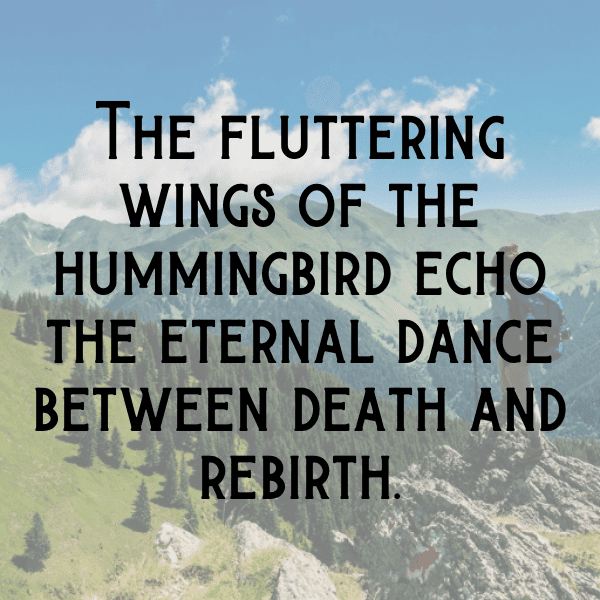 Hummingbird Captions Image For Instagram-d0a1AU