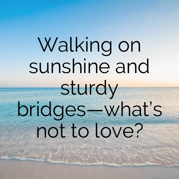 Hummingbird Captions Photo For Instagram-8v5df2