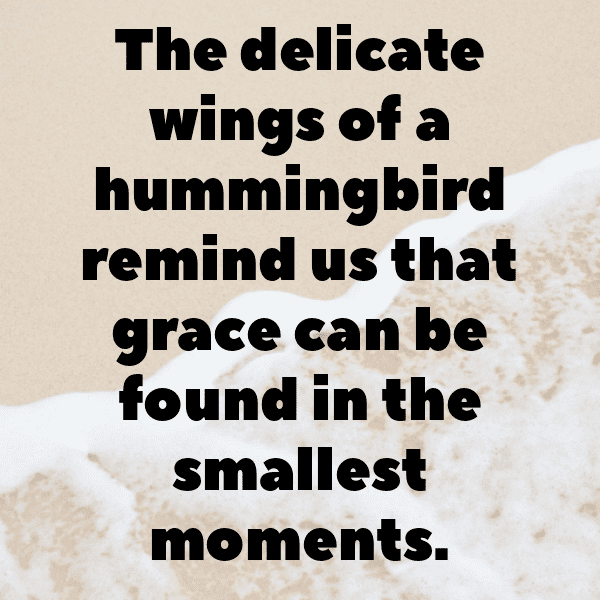 Hummingbird Captions Photo For Instagram-eoHwXs