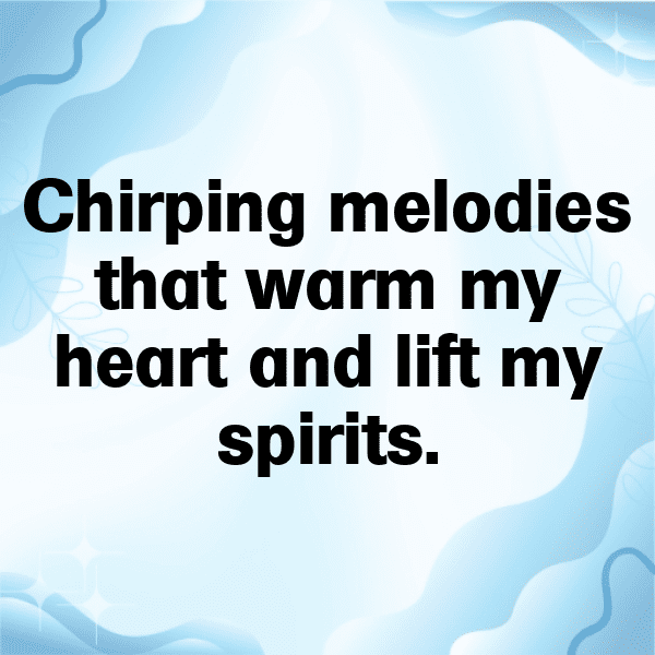 Hummingbird Captions Photo For Instagram-trs4jC