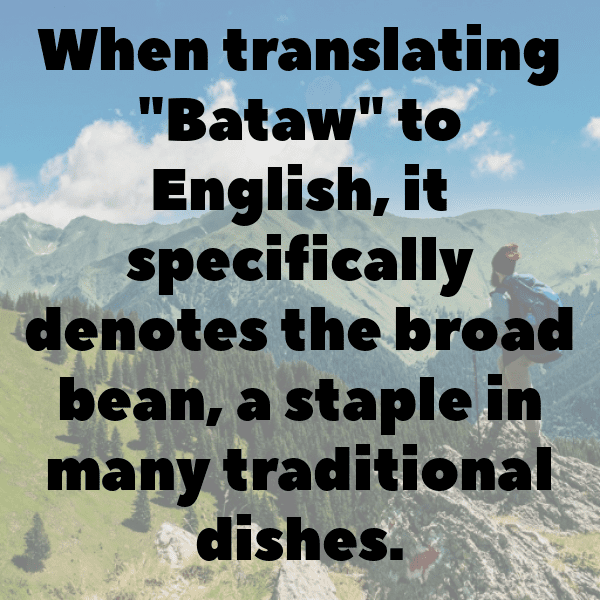 Hyacinth Bean Captions Image For Instagram-dTuwaV