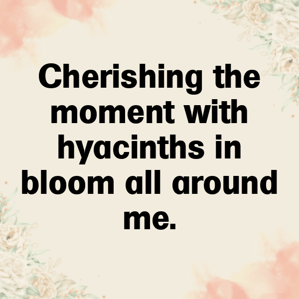 Hyacinth Captions Image For Instagram-DDSBWn