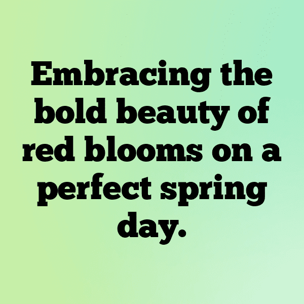 Hyacinth Captions Photo For Instagram-mNAqGm