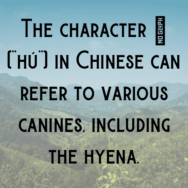 Hyena Captions Photo For Instagram-AIbSTL