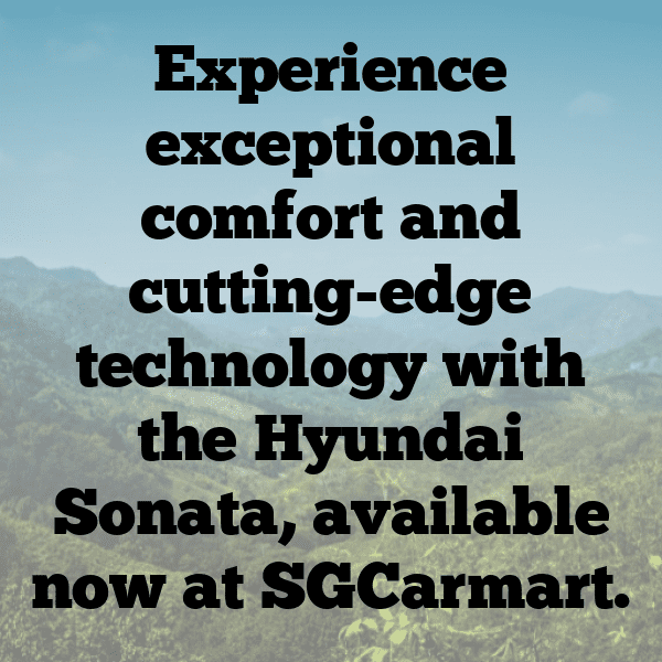 Hyundai Sonata Captions Image for Instagram-acLrDj