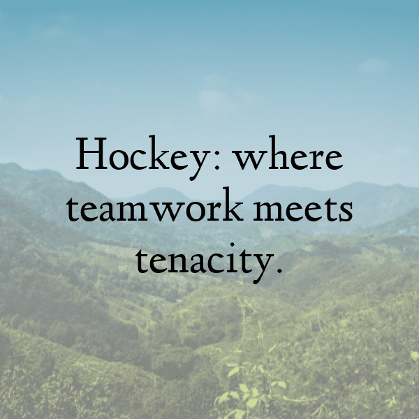 Ice Hockey Captions Photo for Instagram-czJi52