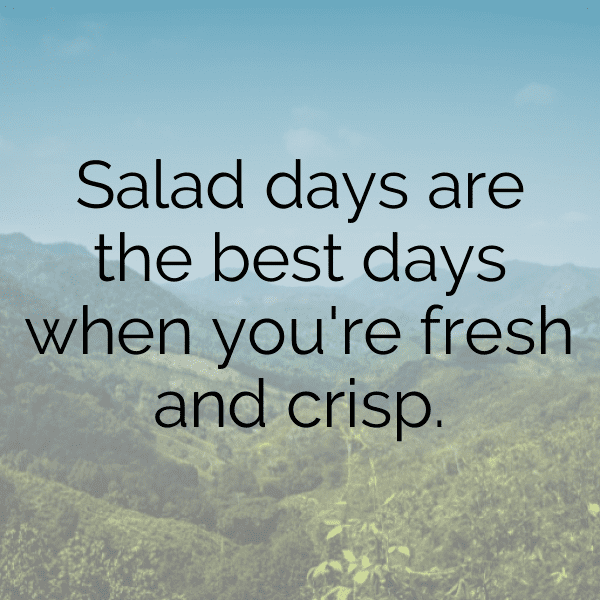 Iceberg Lettuce Captions Image For Instagram-hR6i0V