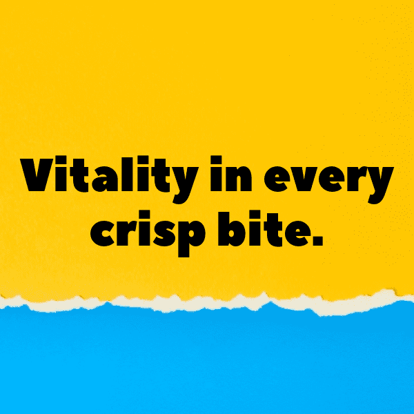 Iceberg Lettuce Captions Image For Instagram-UpGfzn