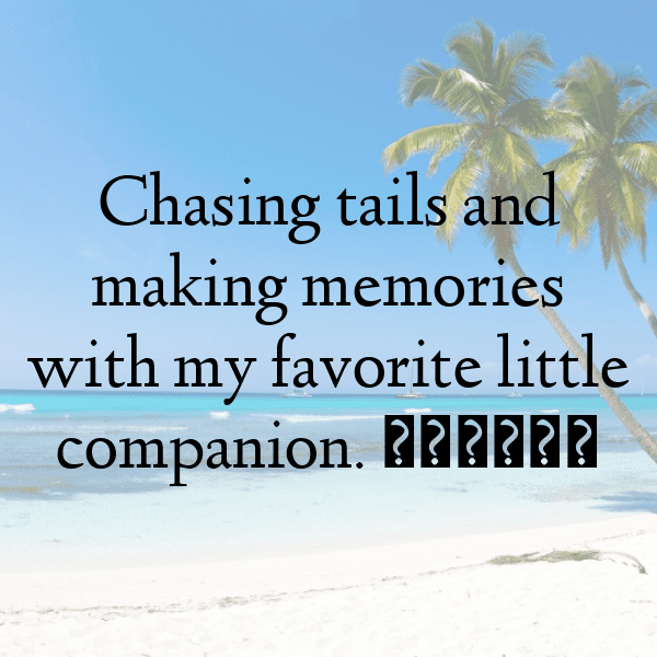 Iguana Captions Photo For Instagram-5KP3RY