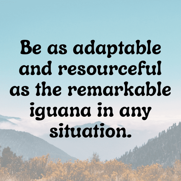 Iguana Captions Photo For Instagram-6XLOli