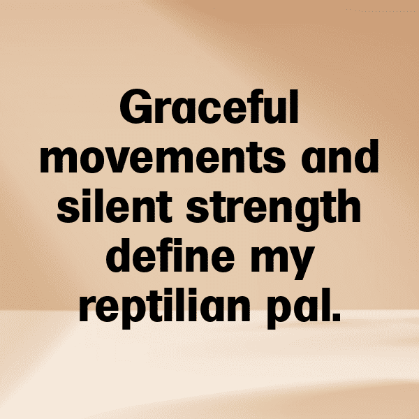 Iguana Captions Photo For Instagram-ud6xke