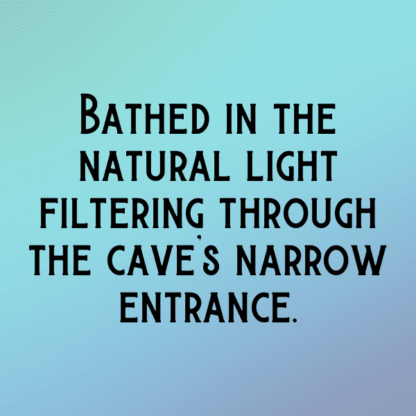 Iguana Captions Photo For Instagram-WqEDSD