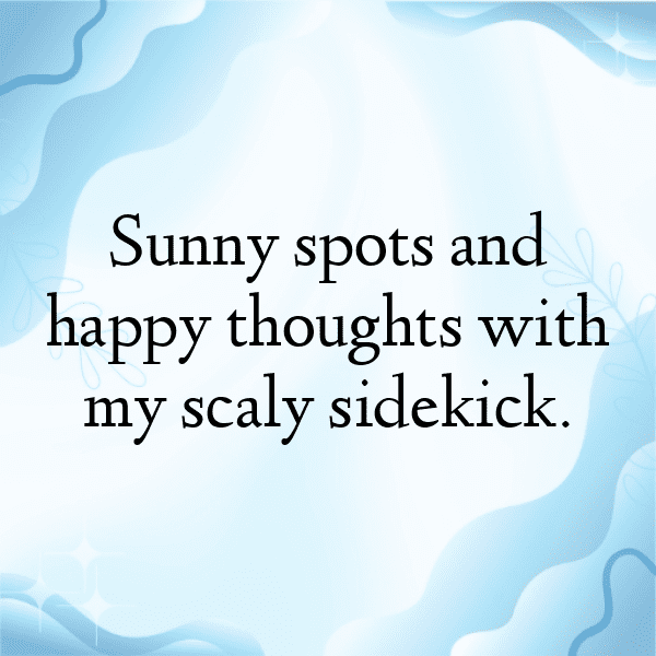 Iguana Captions Photo For Instagram-ZGC5bE