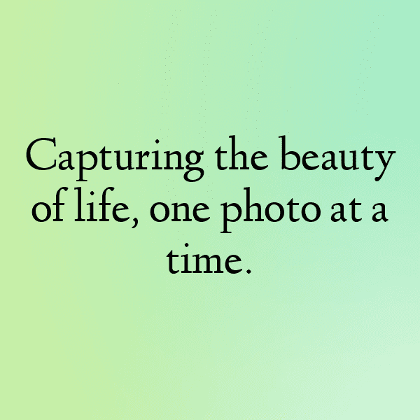 Independence Day Captions Photo for Instagram-bT8Woy