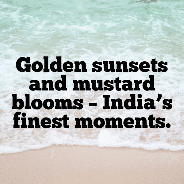 Indian Mustard Captions Image For Instagram-F3rhp1