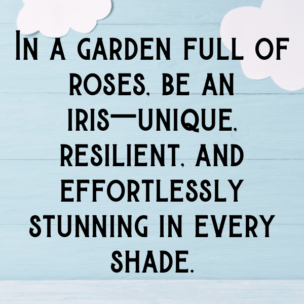 Iris Captions Image For Instagram-0RPxaj