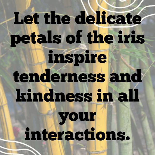 Iris Captions Image For Instagram-DueXTj