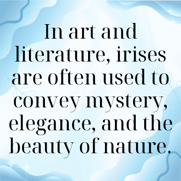 Iris Captions Photo For Instagram-n7g580