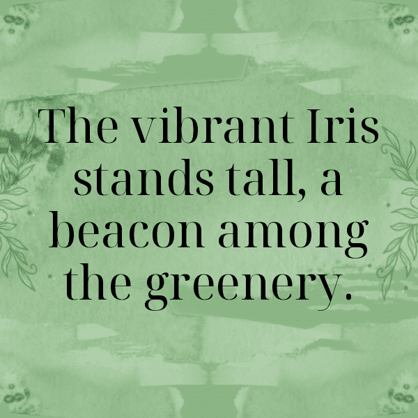 Iris Captions Photo For Instagram-SfDKFc