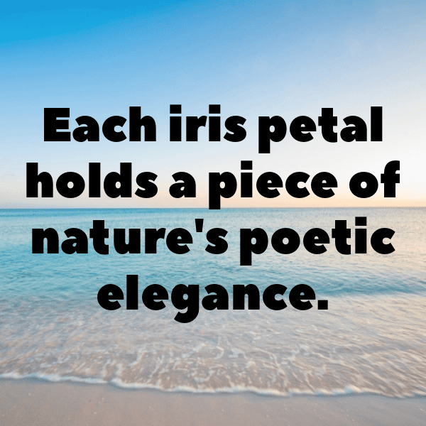 Iris Captions Photo For Instagram-sfRjBK