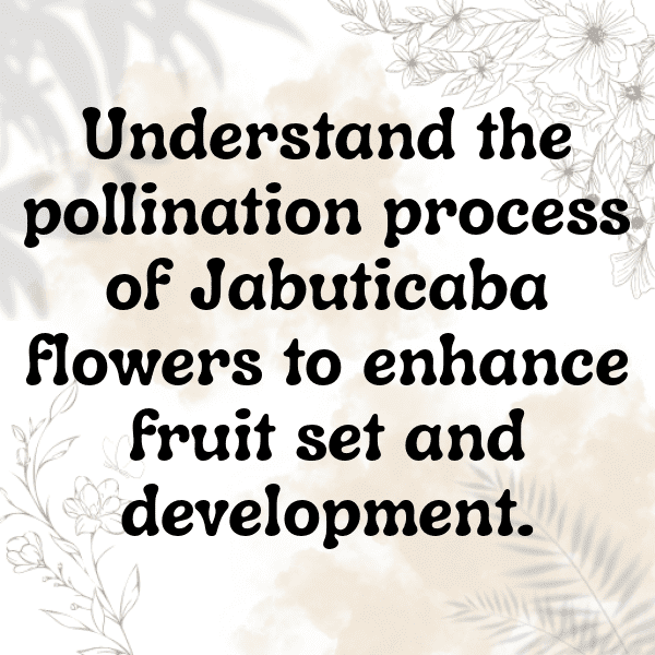 Jabuticaba Captions Image For Instagram-YsBsa1