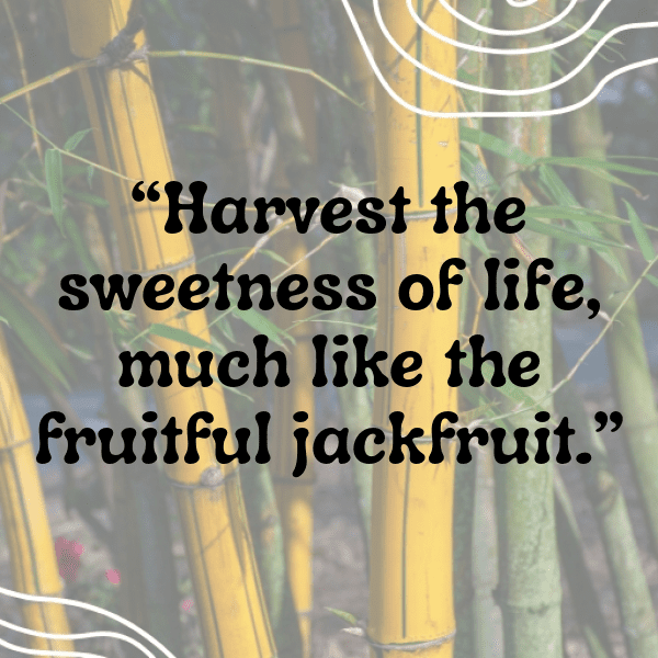 Jackfruit Captions Image For Instagram-HipCae