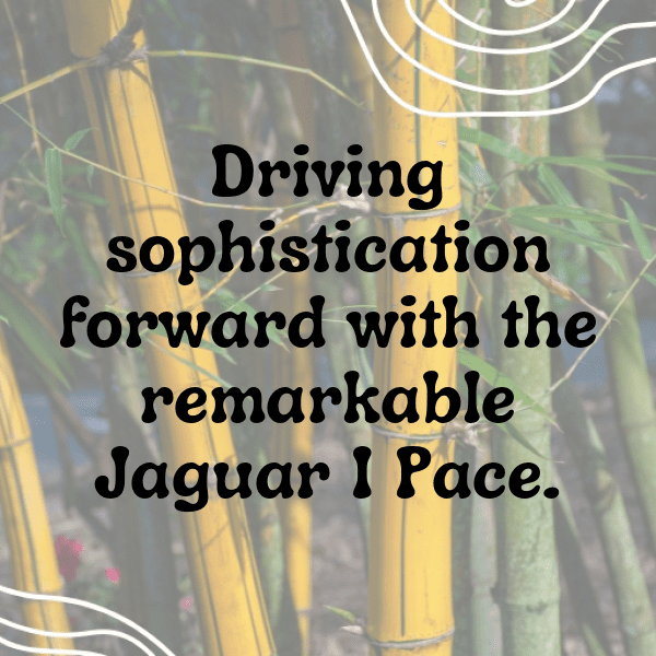 Jaguar I-PACE Captions Image for Instagram-62tWeS