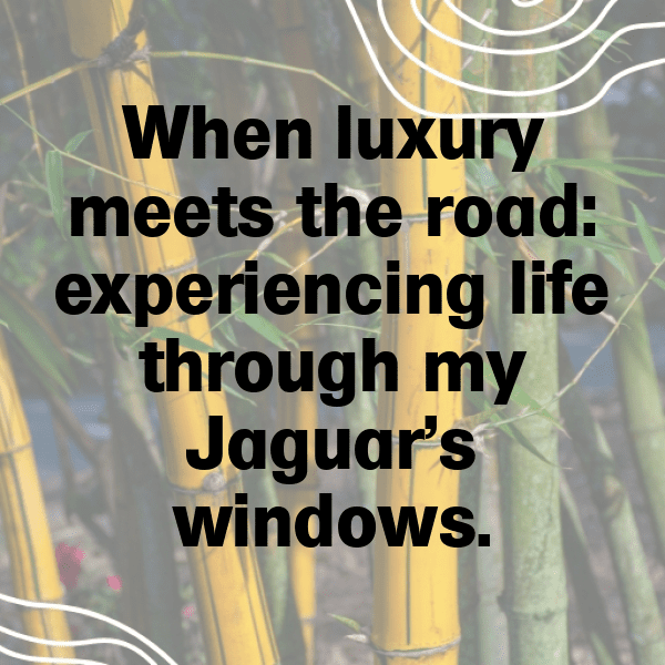 Jaguar I-PACE Captions Photo for Instagram-Tf0RPH