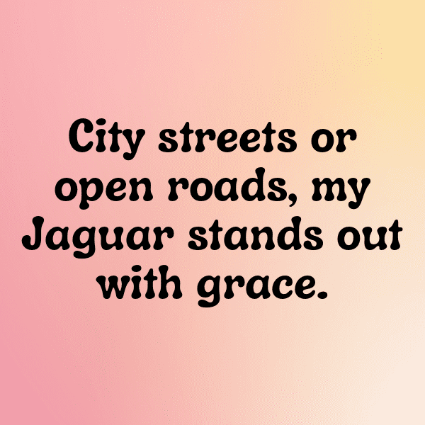 Jaguar XE Captions Image for Instagram-L14olj
