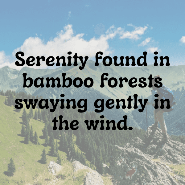 Japan Captions Photo For Instagram-c03jiW