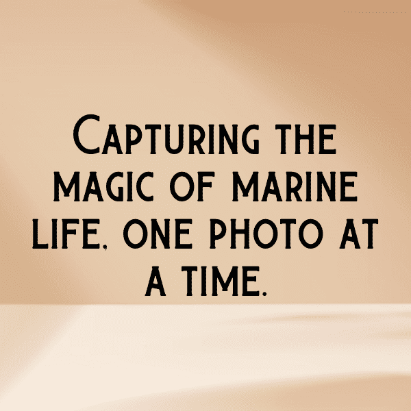 Jellyfish Captions Image For Instagram-DJaFDK