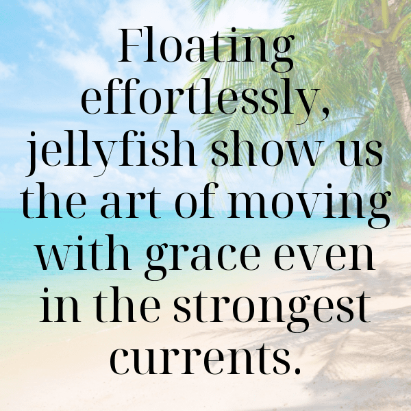 Jellyfish Captions Image For Instagram-m64U1K