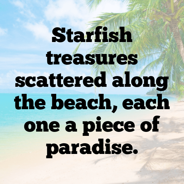 Jellyfish Captions Photo For Instagram-aOHLXQ