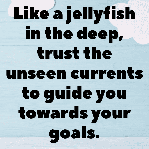 Jellyfish Captions Photo For Instagram-eSKsJV