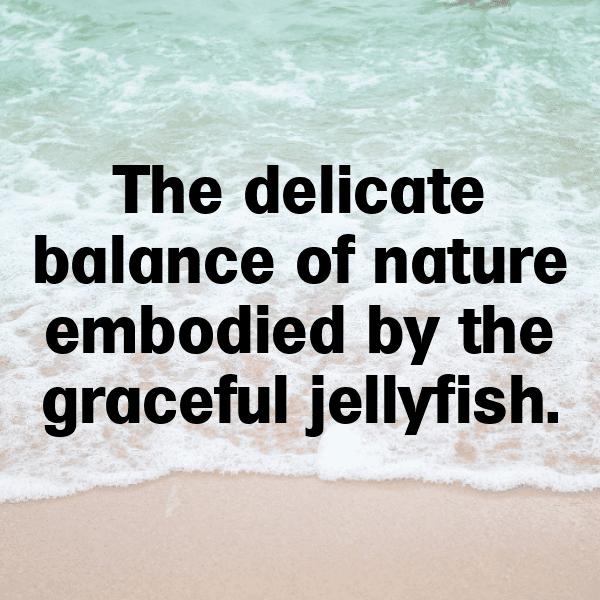Jellyfish Captions Photo For Instagram-fyYsAH