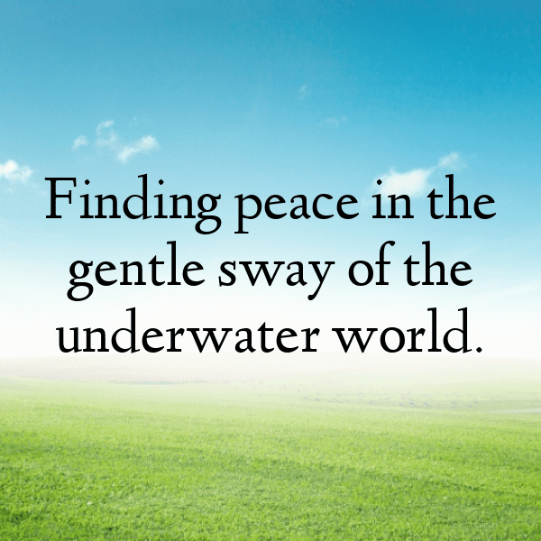 Jellyfish Captions Photo For Instagram-POv0XN