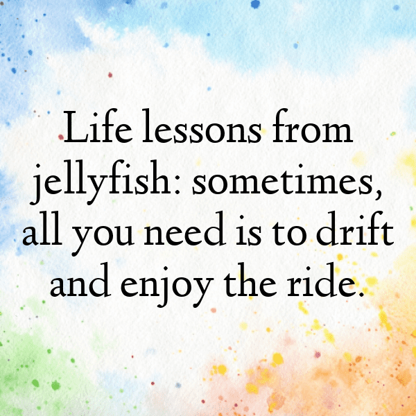 Jellyfish Captions Photo For Instagram-w1GoNn