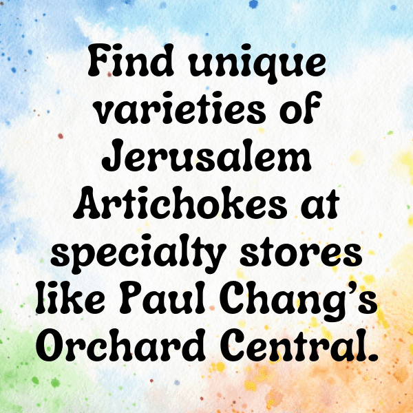 Jerusalem Artichoke Captions Photo For Instagram-8HBzNC